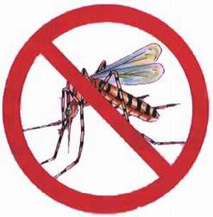   Dengue - Saiba como se prevenir!